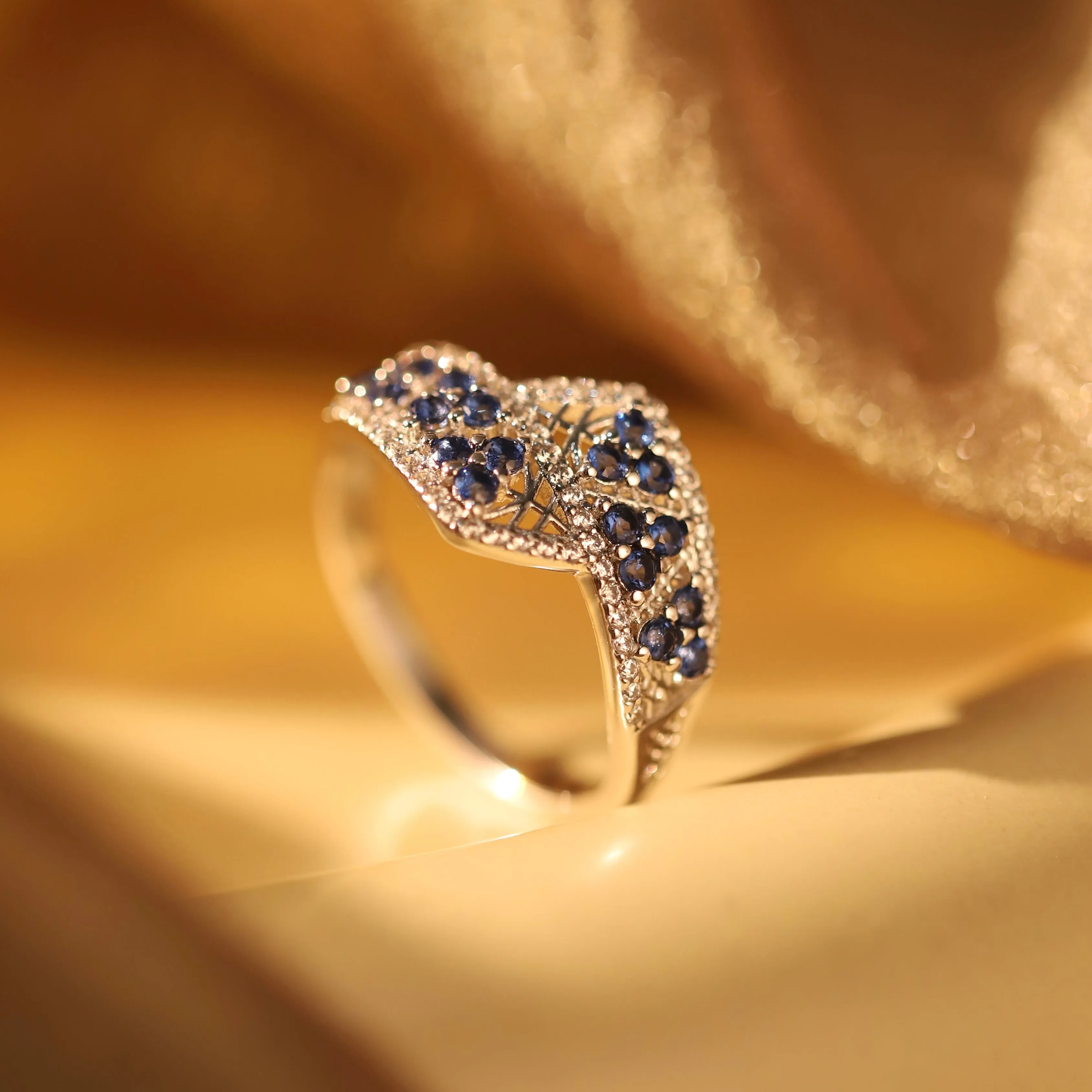 Meryl Starry Ruby Ring