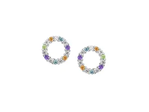 Silver Pastel Multi Gemstone Circle of Life Earrings